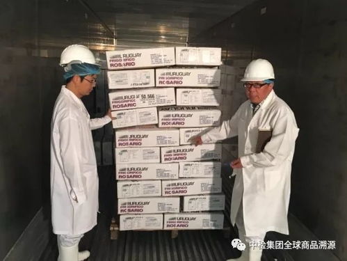 乌拉圭首批中检溯源牛肉正式启航，中国市场迎来国际品质新标杆